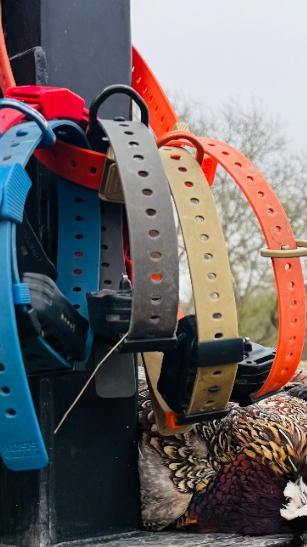 Field Setup (3 Collars)